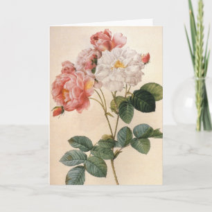 Cartão Vintage Art Rosa Flower Greeting Card