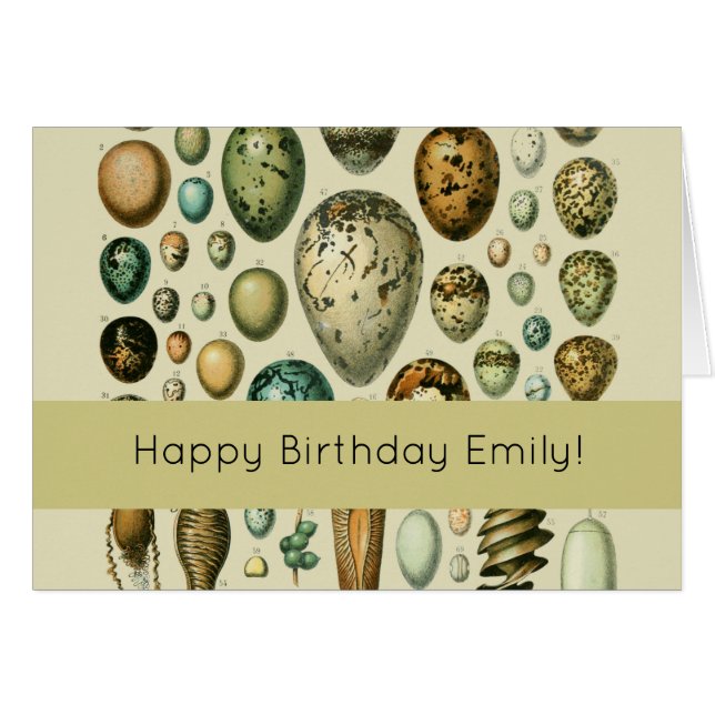 Cartão Vintage Bird Ovos de Peixes Franceses (Frente Horizontal)