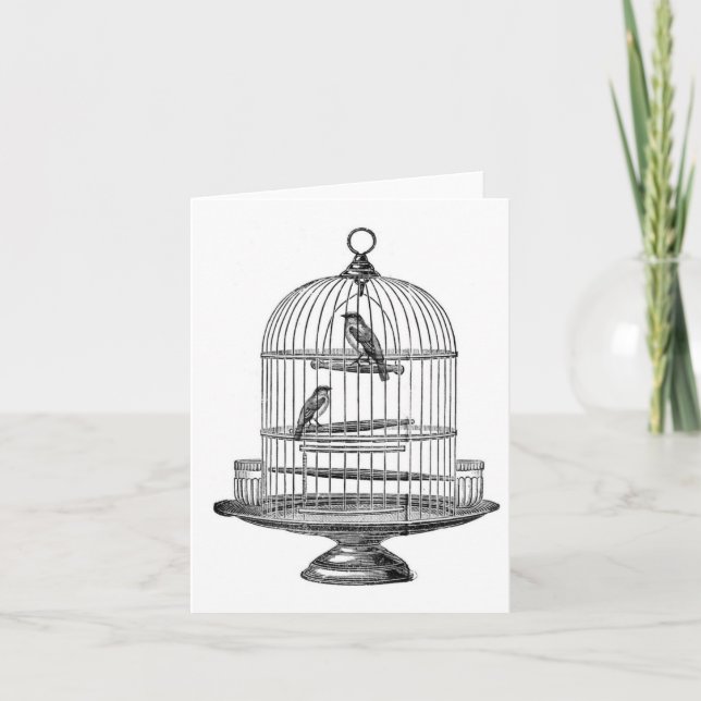 Cartão Vintage Birdcage com Birds...notecard (Frente)