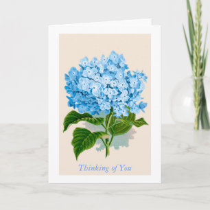 Cartão Vintage Blue Hydrangea Bloom Pensando em você