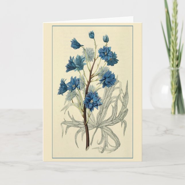 Cartão Vintage Blue Larkspur Flower (Frente)