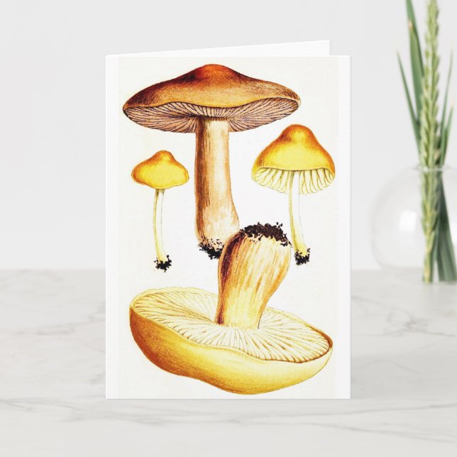 Cartão Vintage Botanical Mushrooms (Frente)