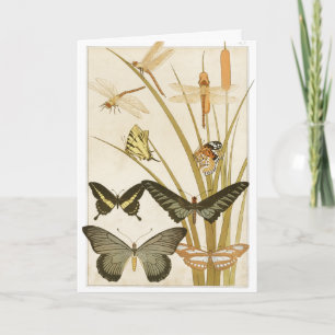 Cartão Vintage Butterflies Illustration Art