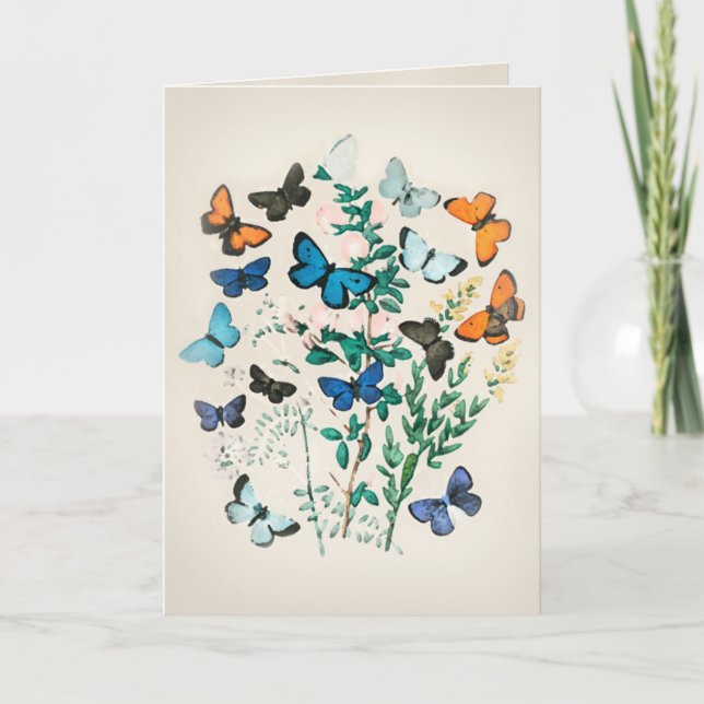 Cartão Vintage Butterfly (Frente)