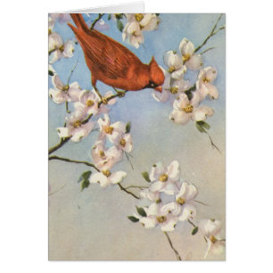 Cartão Vintage Cardinal