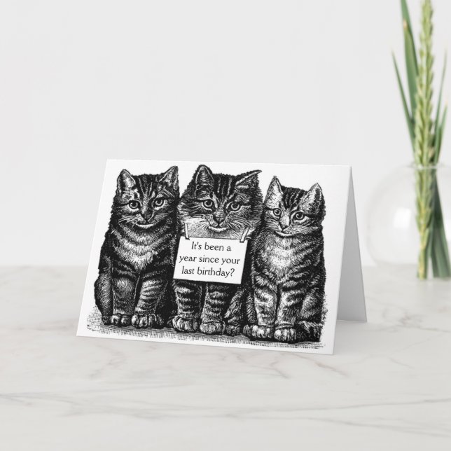 Cartão Vintage Cats Birthday Card (Frente)