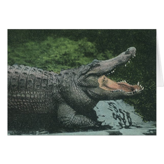 Cartão Vintage Crocodile Reptiles, Marine Animal Life (Frente Horizontal)