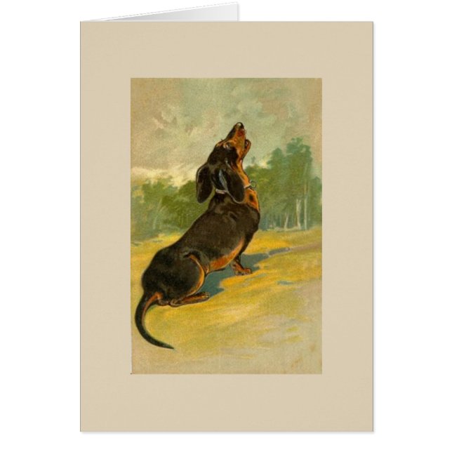 Cartão Vintage - Dachshund que urra, (Frente)