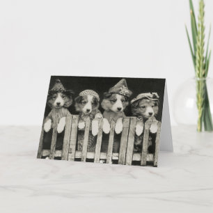 Cartão Vintage Dog Greeting Card