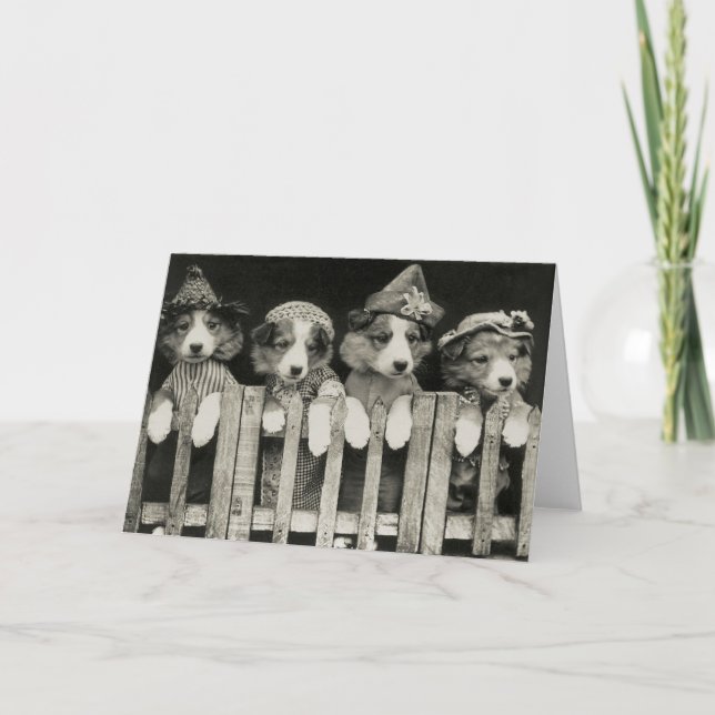 Cartão Vintage Dog Greeting Card (Frente)