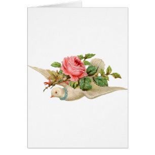 Cartão Vintage Dove e Rosa