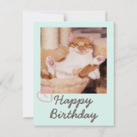 Vintage Engraçado Gato e Feliz Aniversário