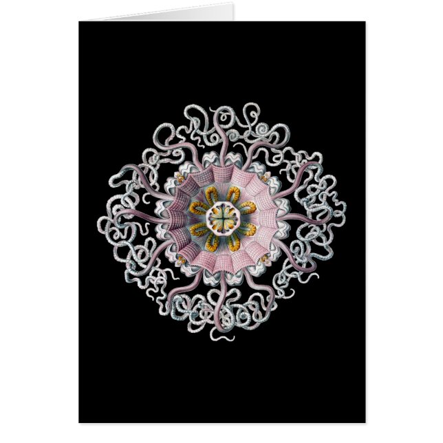 Cartão Vintage Ernst Haeckel (Frente)