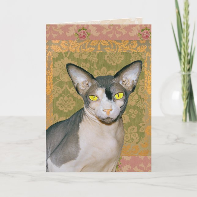Cartão Vintage Floral Damask Sphynx Cat Aniversário (Frente)