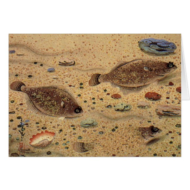 Cartão Vintage Flounders, Marine Ocean Life Flat Fish (Frente Horizontal)