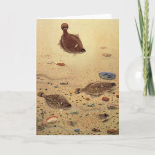 Cartão Vintage Flounders, Marine Ocean Life Flat Fish
