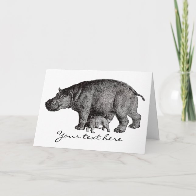 Cartão Vintage Hippo Greeting Card (Frente)