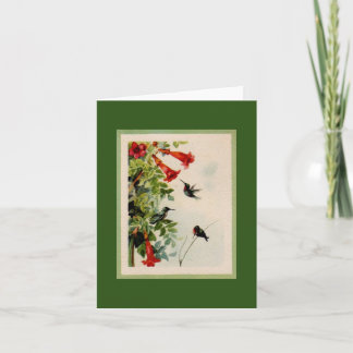 Cartão Vintage Hummingbird