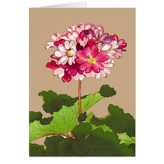 Cartão Vintage Hydrangea japonesa. Rosa e Verde (Frente)