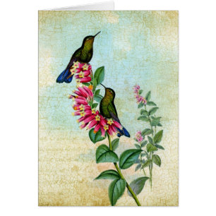 Cartão Vintage Kolibris, Gute Besserung