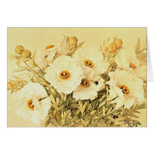 Cartão Vintage Matilija Poppies