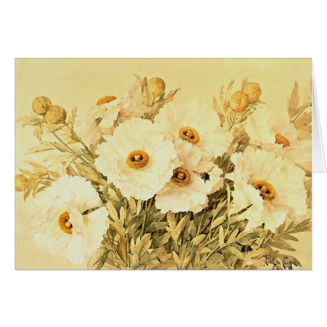 Cartão Vintage Matilija Poppies (Frente Horizontal)