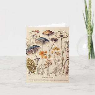 Cartão Vintage Mushroom Naturalist
