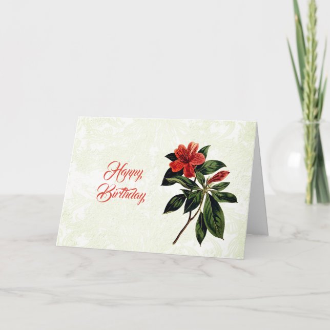 Cartão Vintage Orange Lily Floral Birthday (Frente)