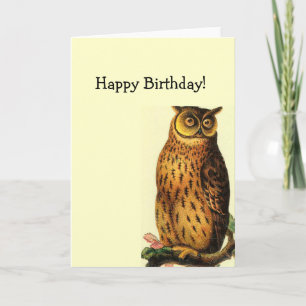 Cartão Vintage Owl Birthday