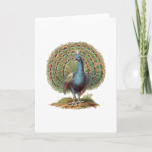 Cartão Vintage Peacock...