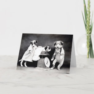 Cartão Vintage Puppies and Kittens Note Cards