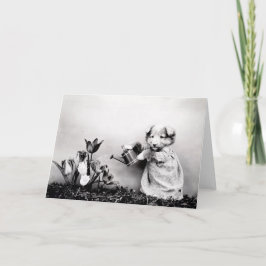 Cartão Vintage Puppies and Kittens Note Cards