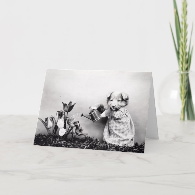 Cartão Vintage Puppies and Kittens Note Cards (Frente)