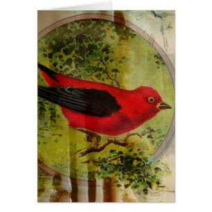 Cartão Vintage Red Bird