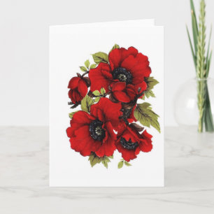 Cartão Vintage Red Poppies,