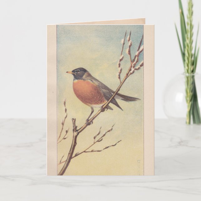 Cartão Vintage Robin Greeting Card (Frente)