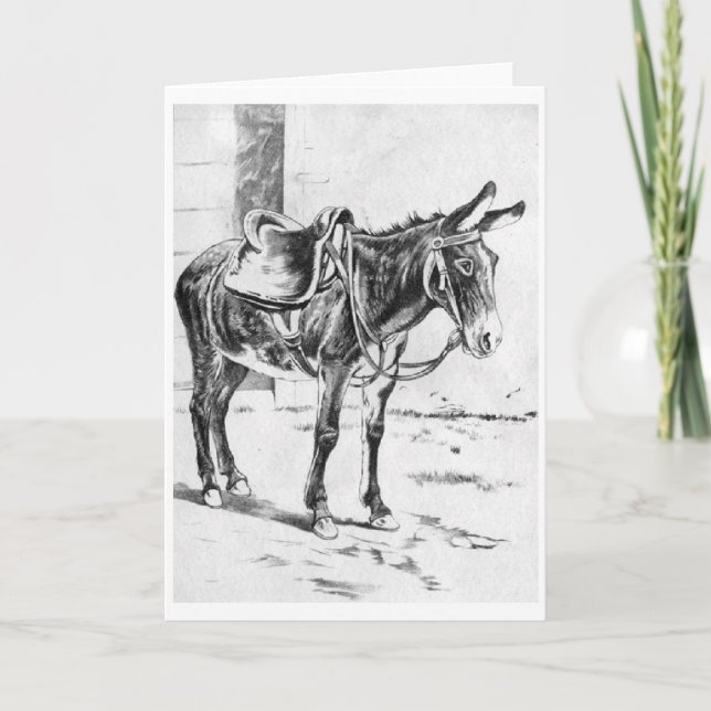 Cartão Vintage - Saddled Up Donkey, (Frente)