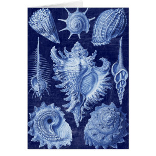 Cartão Vintage Seashells Blue