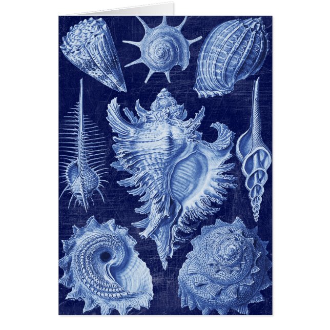 Cartão Vintage Seashells Blue (Frente)
