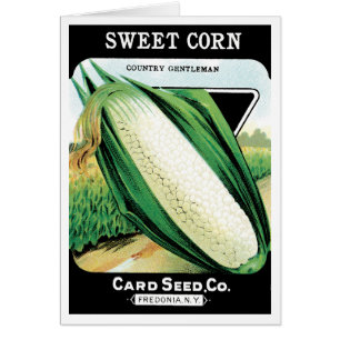 Cartão Vintage Seed Packet Label Art, Sweet White Corn