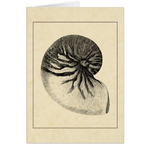 Cartão Vintage - Shell de Conch Preto e Branco
