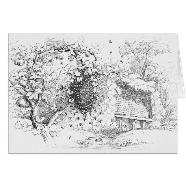 Cartão Vintage Skep Hives (Frente Horizontal)