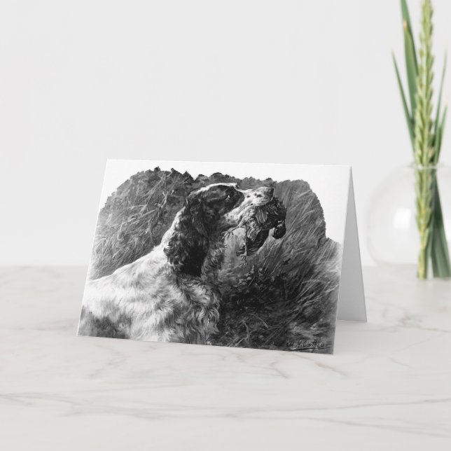 Cartão Vintage Springer Spaniel art (Frente)