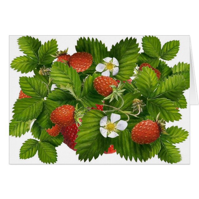 Cartão Vintage Strawberry Plant (Frente Horizontal)