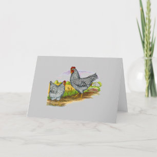 Cartão Vintage Style Chickens Greeting Card