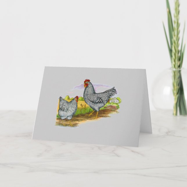Cartão Vintage Style Chickens Greeting Card (Frente)