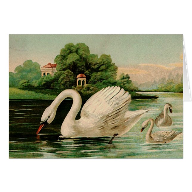 Cartão Vintage Swan no lago (Frente Horizontal)