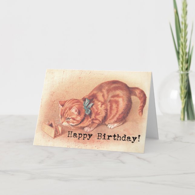 Cartão Vintage Tabby Gatinho Birthday (Frente)