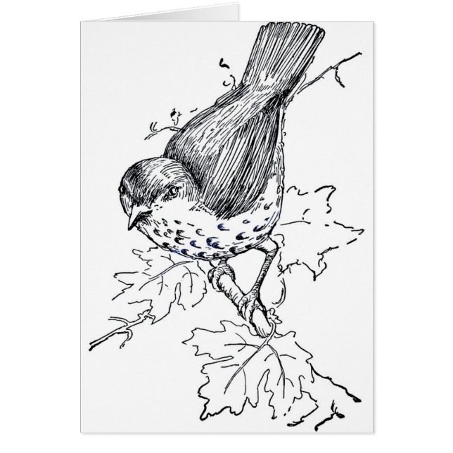 Cartão Vintage Thrush Black and White (Frente)