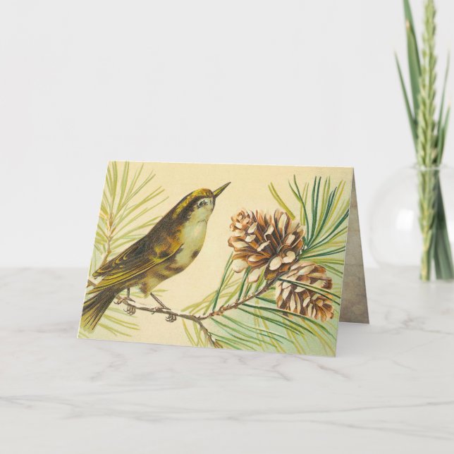 Cartão Vintage Wren Birthday Card (Frente)